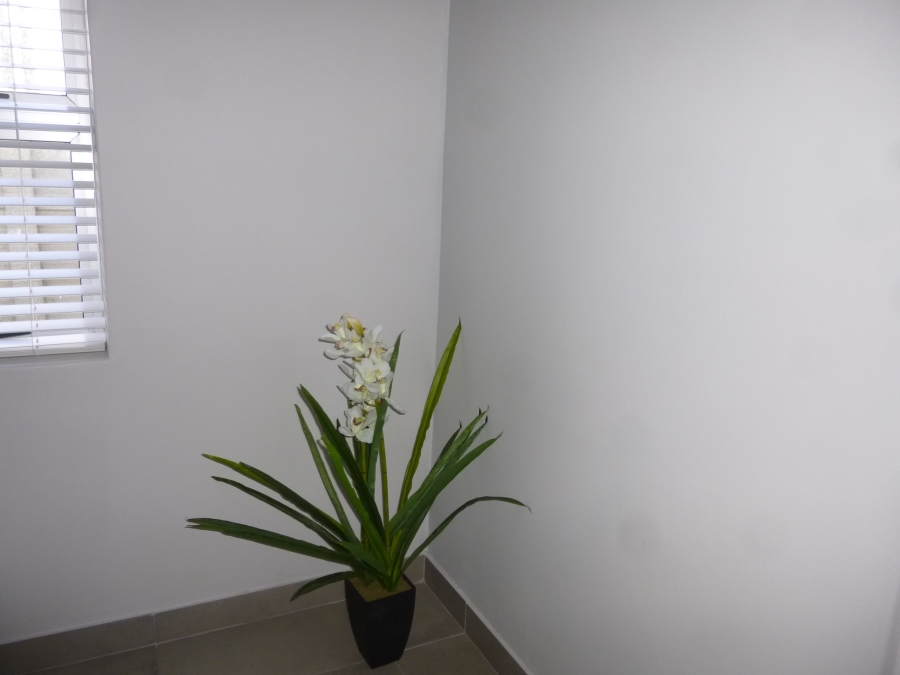 To Let 4 Bedroom Property for Rent in Parklands North Western Cape